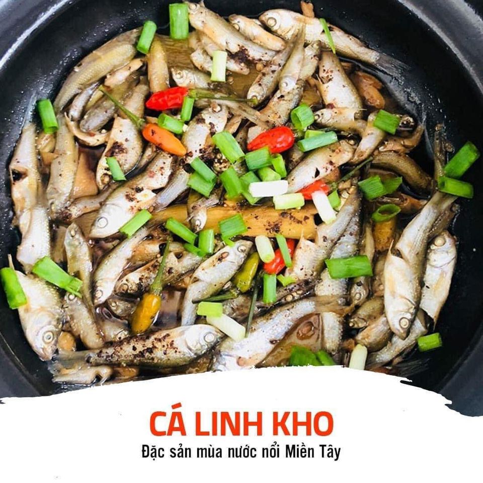 cá linh kho